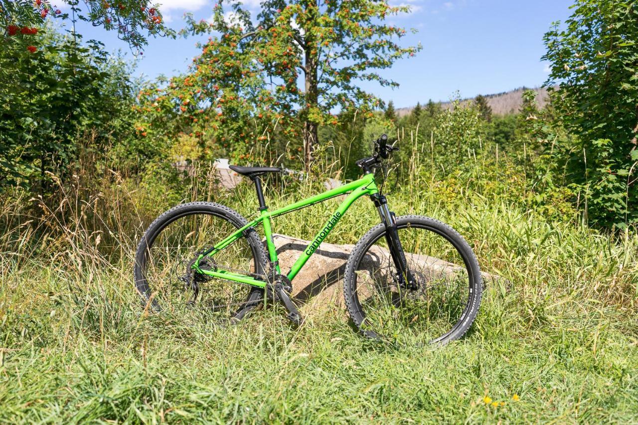 Ferienanlage Zum Wildbach Schierke Exterior foto